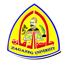 Dr./ Tarek Ezzat Abd El-Latif is the general manager of the university hospitals at Zagazig University