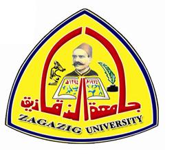 Dr./ Ashraf Al-Shehhi, President of Zagazig University is in the TV show of " happening in Egypt" : Freedom of opinion is guaranteed and so dealing decisively with vandalism and targeting installation