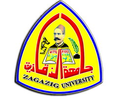 Million and one hundred and sixty thousand pounds treatment Zagazig University students expenses